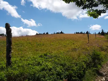 Le Grand Ballon (Frankrijk)